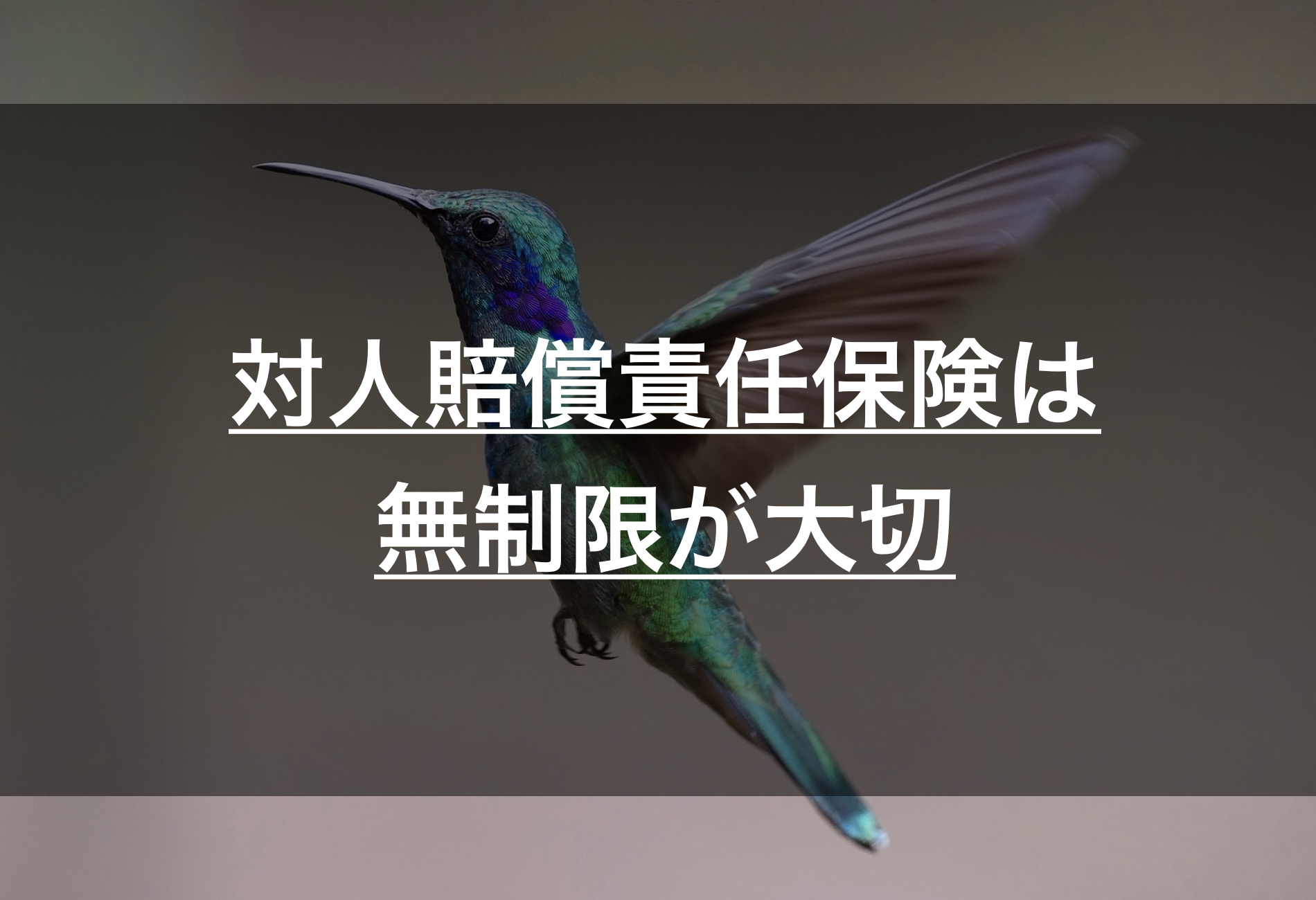 対人賠償責任保険は無制限が良い 理由と補償内容をわかりやすく解説 損保マン