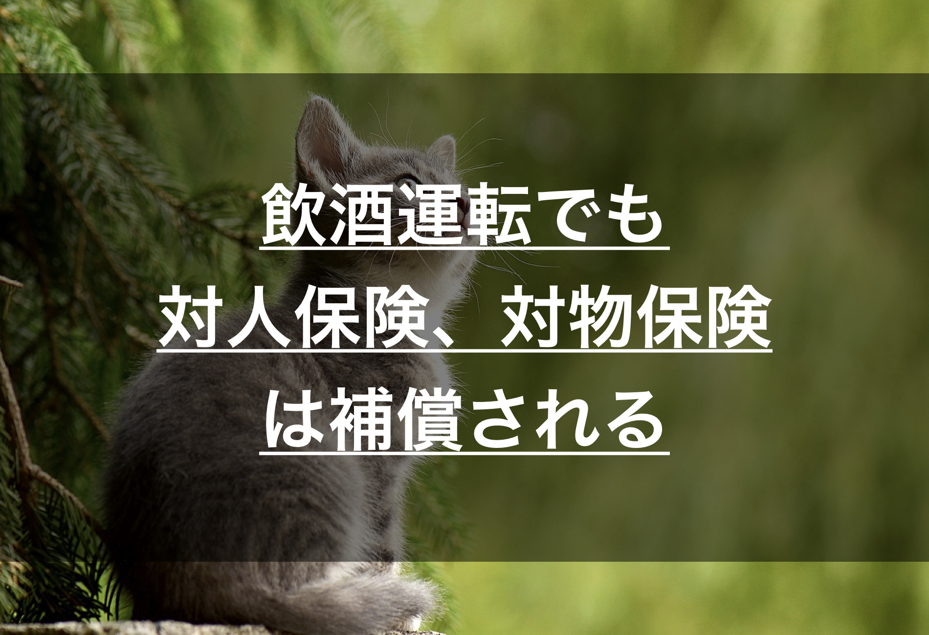 飲酒運転 では対人賠償責任保険 対物賠償責任保険は補償される 損保マン