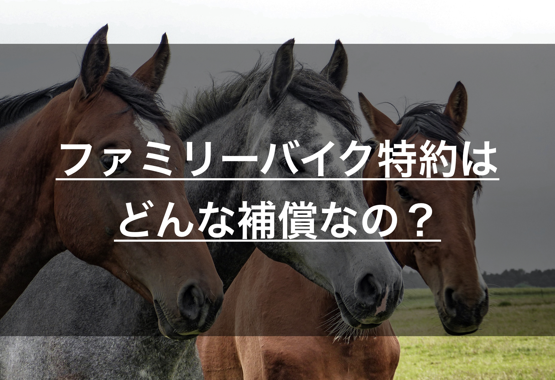 ファミリーバイク特約の補償の範囲や内容を徹底解説 家族のバイクも補償可能 損保マン