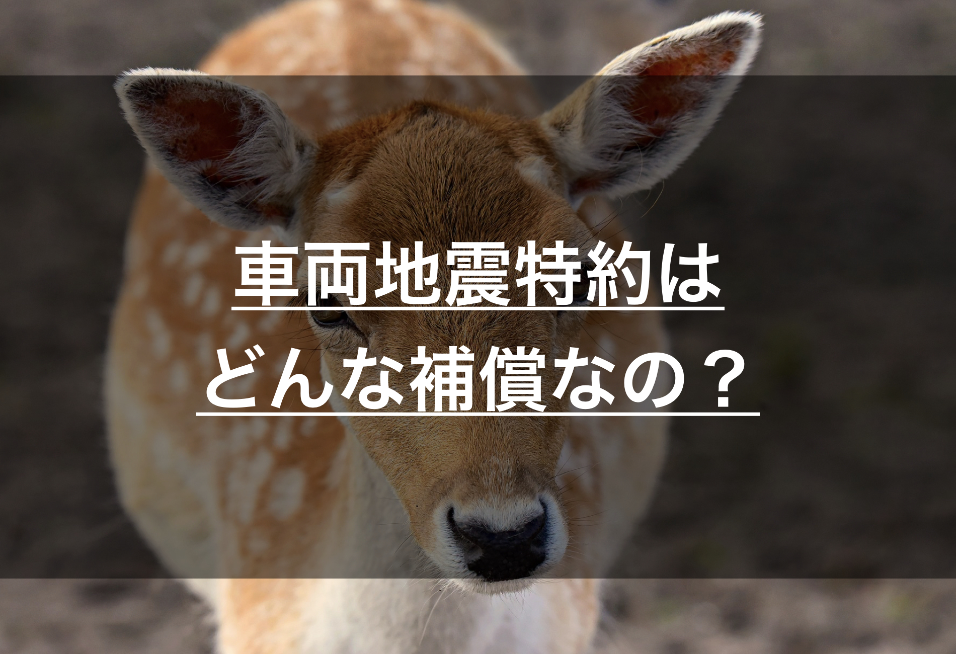 楽天損保の車両地震特約はどんな補償 他の保険会社でも取り扱っていない独自の特約 損保マン